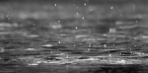 Rainy Day
