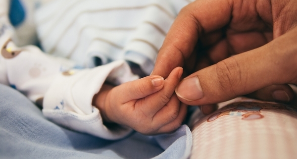 parent and child Holding Hands