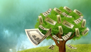 CASH TREE