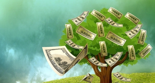 CASH TREE