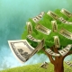 CASH TREE