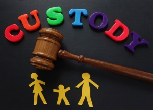 custody and gavel